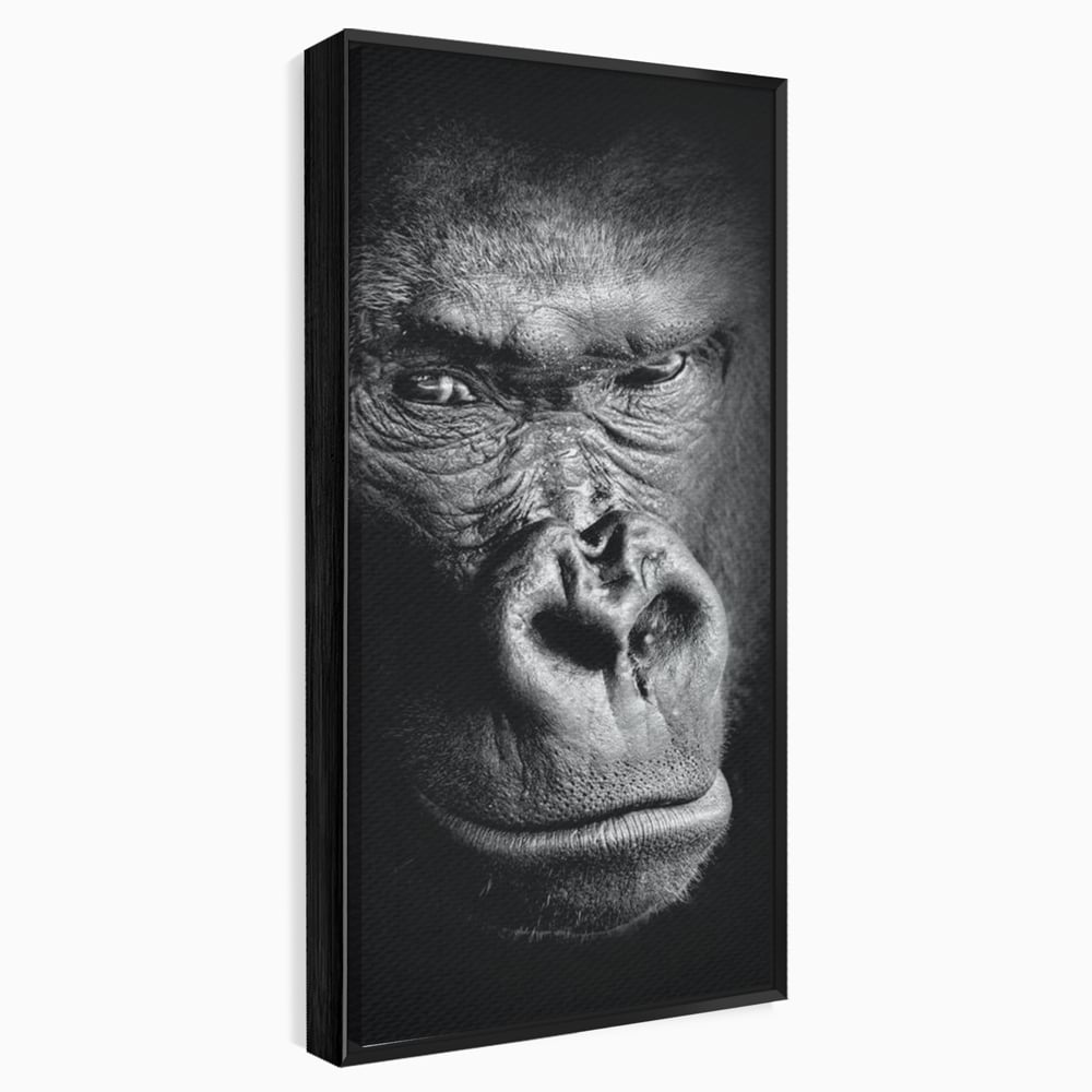 Tablou canvas cu tablou canvas cu portret de gorila, in rama de aluminiu negru